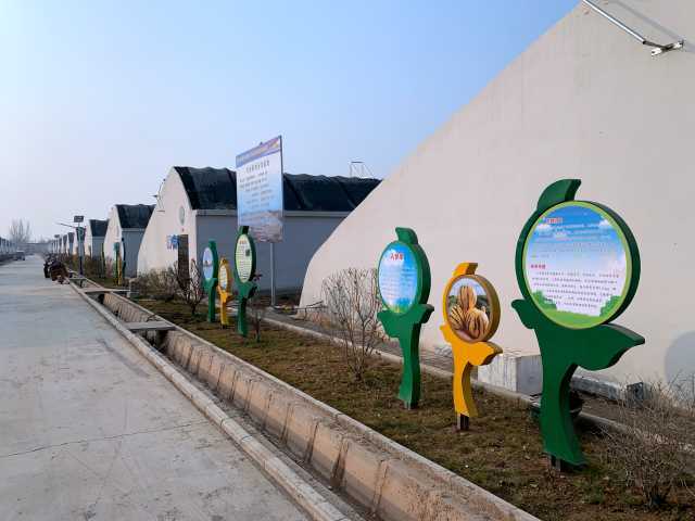 每日一景 山水溝村的美麗蝶變——產(chǎn)業(yè)助力發(fā)展，農(nóng)業(yè)技術(shù)推廣共建美麗鄉(xiāng)村