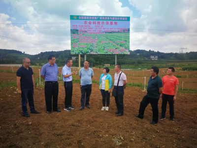 省農(nóng)業(yè)科技發(fā)展中心主任潘爾珣深入畢節(jié)調(diào)研，指導(dǎo)基層農(nóng)技推廣補(bǔ)助項(xiàng)目建設(shè)工作
