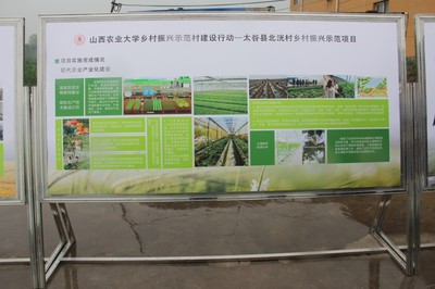 園藝學(xué)院春菜品種展示交流會(huì) 科技賦能農(nóng)業(yè)，創(chuàng)新引領(lǐng)未來(lái)